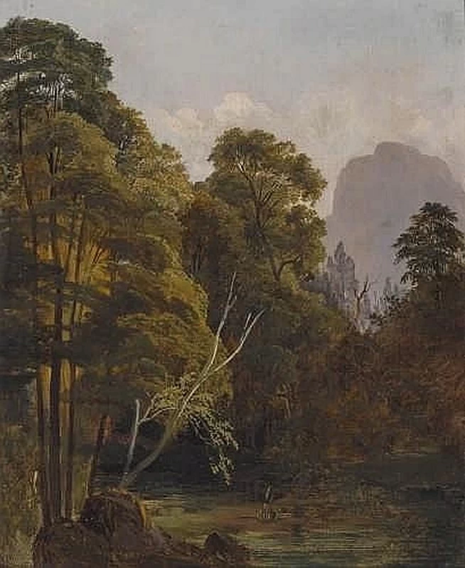 Torrente alberato in un paesaggio montuoso